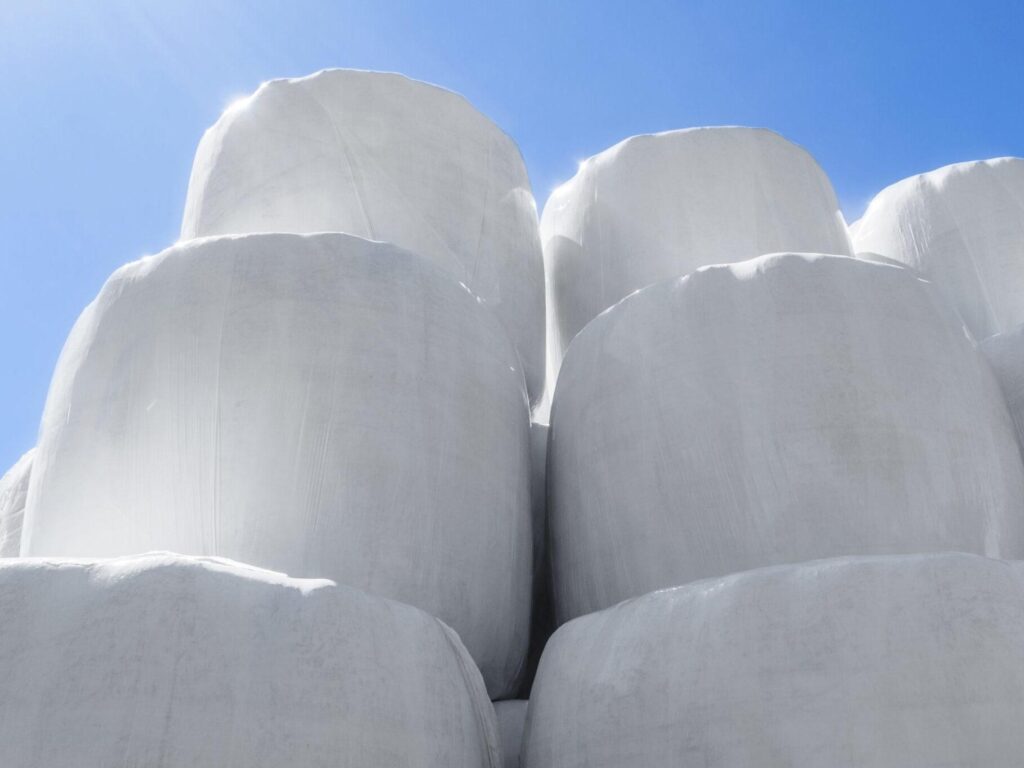 Large silage bales wrapped in white plastic