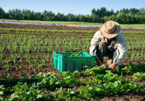 Farm Irrigation Systems