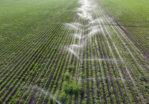 Increasing Agricultural Productivity 