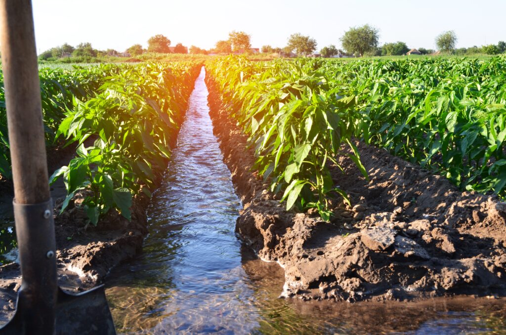 watering of agricultural crops