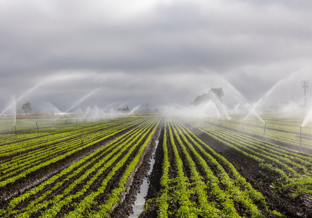 Precision Irrigation