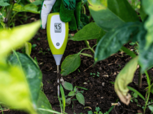heartnutt grove wwt irrigation system sensors in action